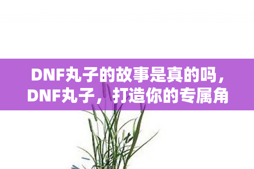 DNF丸子的故事是真的吗，DNF丸子，打造你的专属角色，探索无限可能