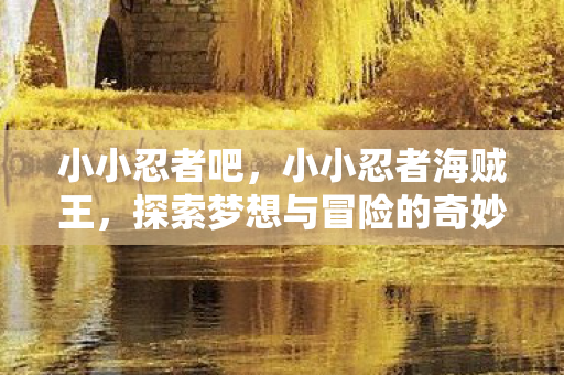 小小忍者吧，小小忍者海贼王，探索梦想与冒险的奇妙之旅