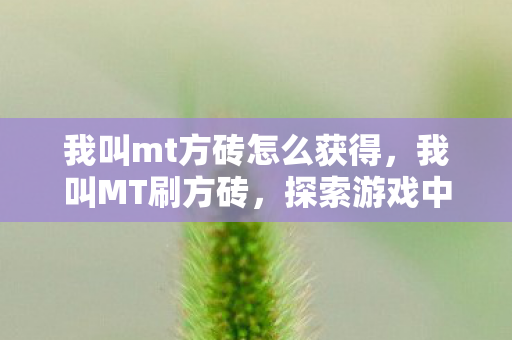 我叫mt方砖怎么获得，我叫MT刷方砖，探索游戏中的策略与乐趣