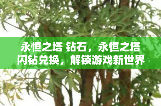 永恒之塔 钻石，永恒之塔闪钻兑换，解锁游戏新世界的钥匙