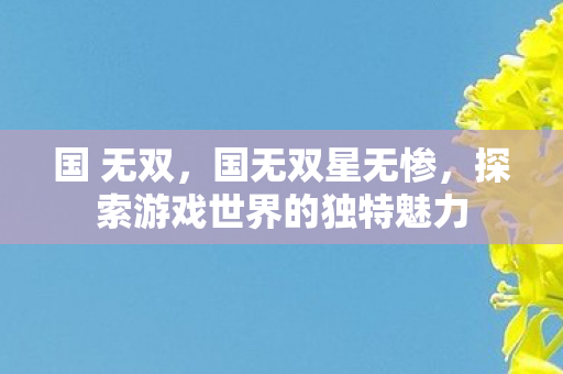 国 无双，国无双星无惨，探索游戏世界的独特魅力