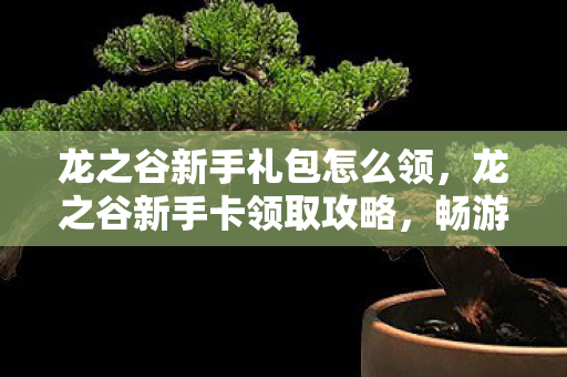 龙之谷新手礼包怎么领，龙之谷新手卡领取攻略，畅游游戏世界的必备指南
