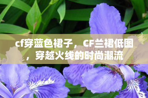 cf穿蓝色裙子，CF兰裙低图，穿越火线的时尚潮流