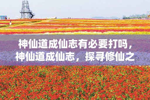 神仙道成仙志有必要打吗，神仙道成仙志，探寻修仙之路的奥秘