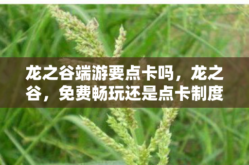 龙之谷端游要点卡吗，龙之谷，免费畅玩还是点卡制度？