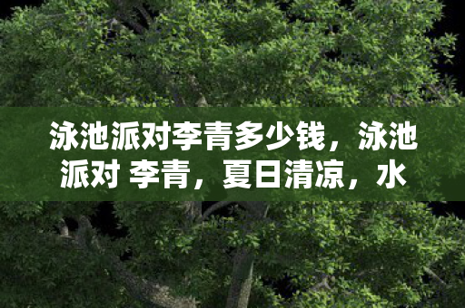 泳池派对李青多少钱，泳池派对 李青，夏日清凉，水上狂欢