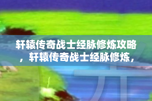 轩辕传奇战士经脉修炼攻略，轩辕传奇战士经脉修炼，提升战斗力的关键路径