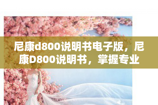 尼康d800说明书电子版，尼康D800说明书，掌握专业摄影的钥匙