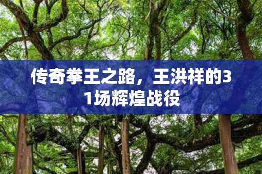 传奇拳王之路，王洪祥的31场辉煌战役