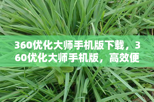 360优化大师手机版下载，360优化大师手机版，高效便捷的手机性能优化工具