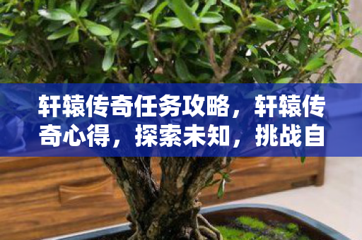 轩辕传奇任务攻略，轩辕传奇心得，探索未知，挑战自我