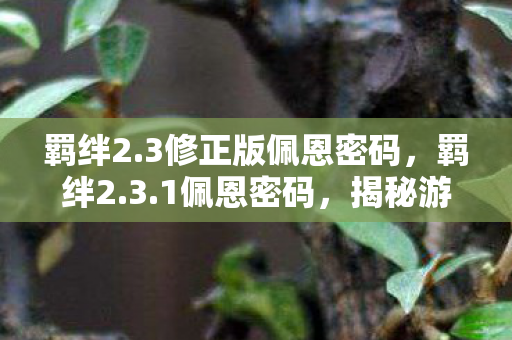 羁绊2.3修正版佩恩密码，羁绊2.3.1佩恩密码，揭秘游戏中的神秘编码