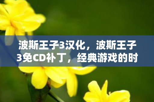 波斯王子3汉化，波斯王子3免CD补丁，经典游戏的时光机