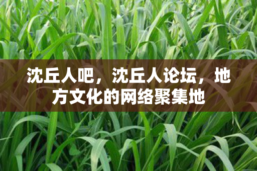 沈丘人吧，沈丘人论坛，地方文化的网络聚集地