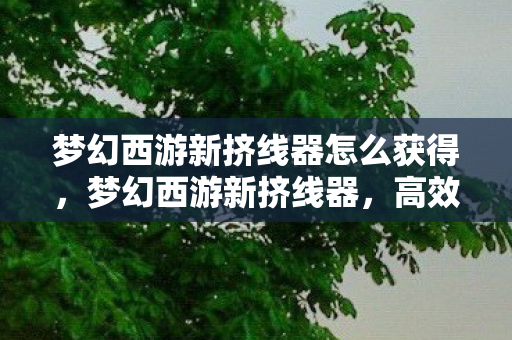 梦幻西游新挤线器怎么获得，梦幻西游新挤线器，高效便捷，重塑游戏体验