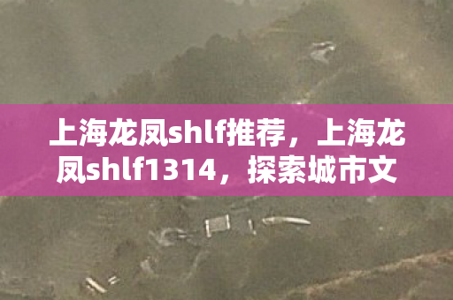 上海龙凤shlf推荐，上海龙凤shlf1314，探索城市文化的独特魅力