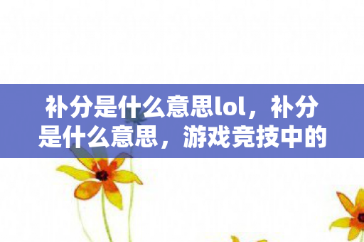 补分是什么意思lol，补分是什么意思，游戏竞技中的积分补偿机制