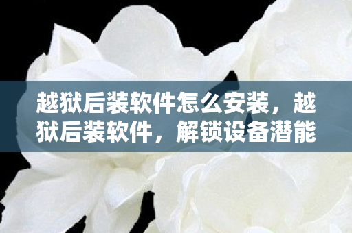 越狱后装软件怎么安装，越狱后装软件，解锁设备潜能，但需谨慎操作