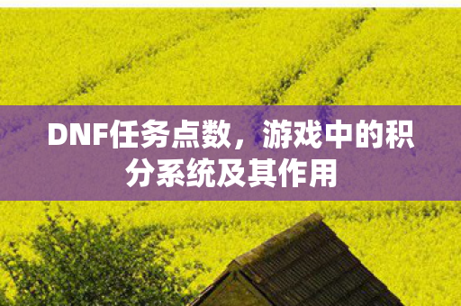 DNF任务点数，游戏中的积分系统及其作用
