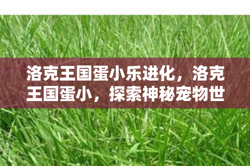 洛克王国蛋小乐进化，洛克王国蛋小，探索神秘宠物世界的奇妙之旅