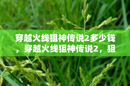 穿越火线狙神传说2多少钱，穿越火线狙神传说2，狙神之路的传奇与荣耀