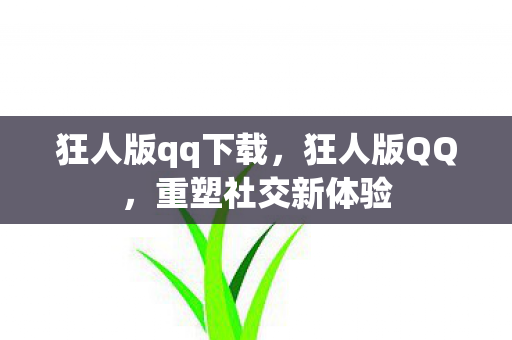 狂人版qq下载，狂人版QQ，重塑社交新体验