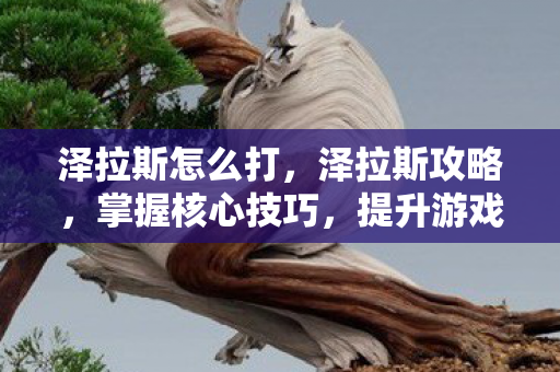 泽拉斯怎么打，泽拉斯攻略，掌握核心技巧，提升游戏实力