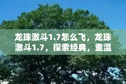 龙珠激斗1.7怎么飞，龙珠激斗1.7，探索经典，重温热血战斗