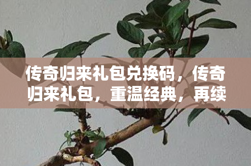 传奇归来礼包兑换码，传奇归来礼包，重温经典，再续传奇