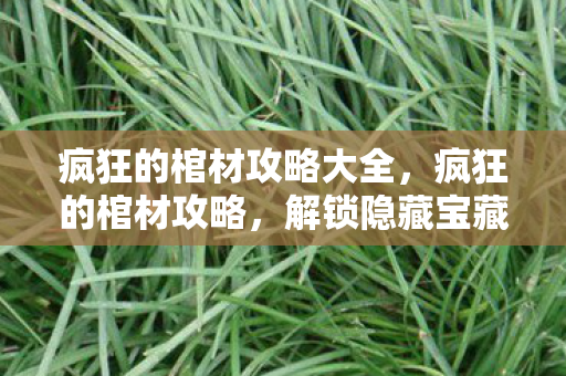 疯狂的棺材攻略大全，疯狂的棺材攻略，解锁隐藏宝藏与神秘彩蛋