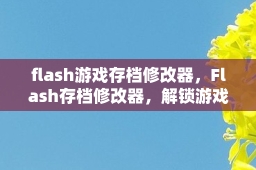 flash游戏存档修改器，Flash存档修改器，解锁游戏新世界的钥匙