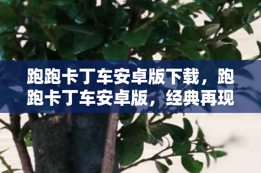 跑跑卡丁车安卓版下载，跑跑卡丁车安卓版，经典再现，激情依旧