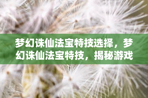 梦幻诛仙法宝特技选择，梦幻诛仙法宝特技，揭秘游戏中的神秘力量