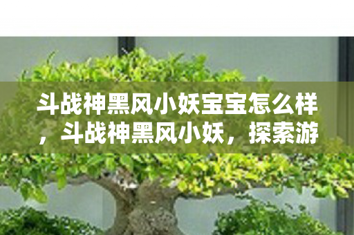 斗战神黑风小妖宝宝怎么样，斗战神黑风小妖，探索游戏世界的奇妙之旅