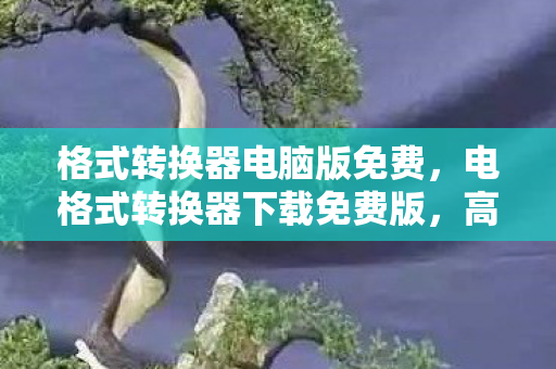 格式转换器电脑版免费，电格式转换器下载免费版，高效转换，轻松应对各种需求