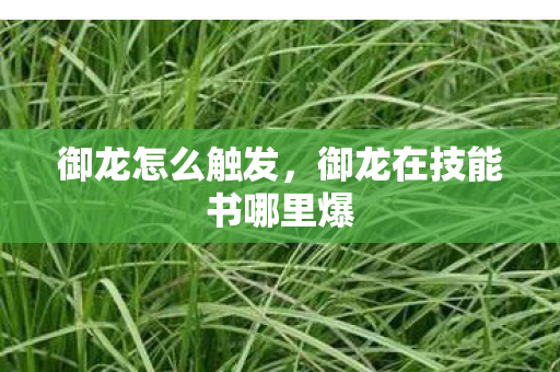 御龙怎么触发，御龙在技能书哪里爆