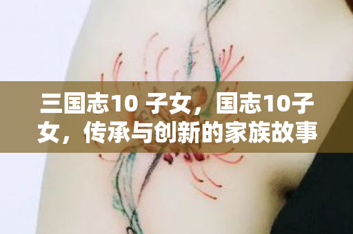 三国志10 子女，国志10子女，传承与创新的家族故事