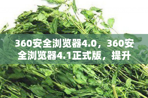360安全浏览器4.0，360安全浏览器4.1正式版，提升安全与性能，打造更优质的浏览体验