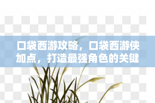 口袋西游攻略，口袋西游侠加点，打造最强角色的关键策略