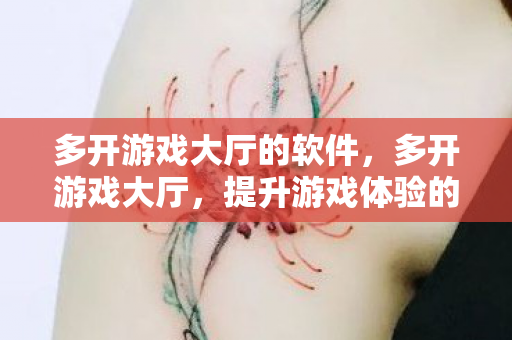 多开游戏大厅的软件，多开游戏大厅，提升游戏体验的利器