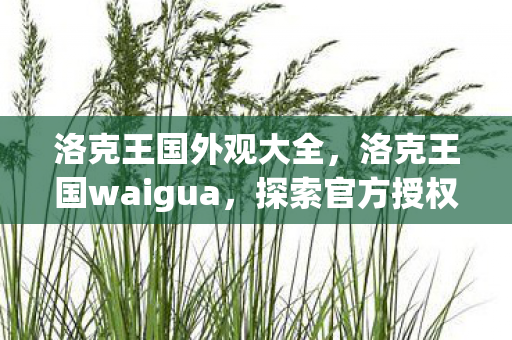 洛克王国外观大全，洛克王国waigua，探索官方授权的无限可能