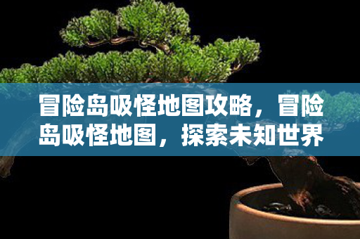 冒险岛吸怪地图攻略，冒险岛吸怪地图，探索未知世界的神秘之旅