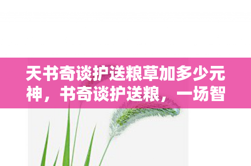 天书奇谈护送粮草加多少元神，书奇谈护送粮，一场智慧与勇气的较量