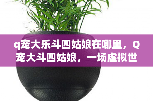 q宠大乐斗四姑娘在哪里，Q宠大斗四姑娘，一场虚拟世界的欢乐盛宴