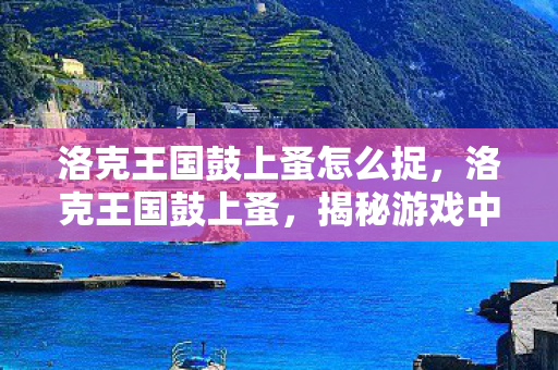 洛克王国鼓上蚤怎么捉，洛克王国鼓上蚤，揭秘游戏中的小偷角色