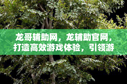 龙哥辅助网，龙辅助官网，打造高效游戏体验，引领游戏辅助新风尚