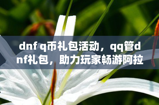 dnf q币礼包活动，qq管dnf礼包，助力玩家畅游阿拉德大陆
