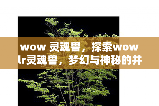 wow 灵魂兽，探索wowlr灵魂兽，梦幻与神秘的并存