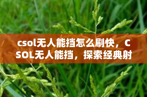 csol无人能挡怎么刷快，CSOL无人能挡，探索经典射击游戏的魅力与未来