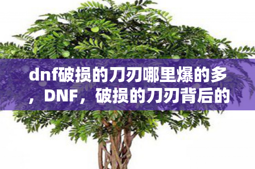 dnf破损的刀刃哪里爆的多，DNF，破损的刀刃背后的故事与传承